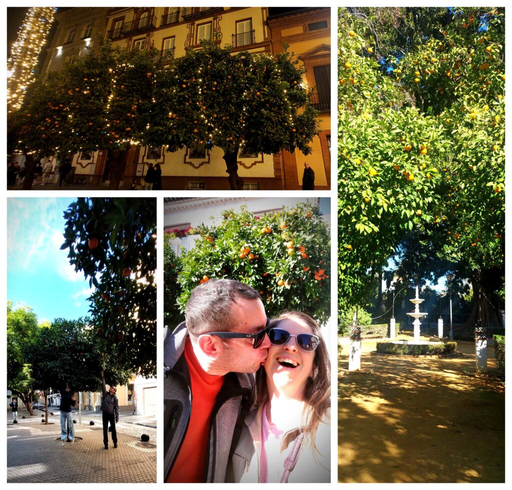 2pomarance 1024x980 - 22th - 28th December, 2025