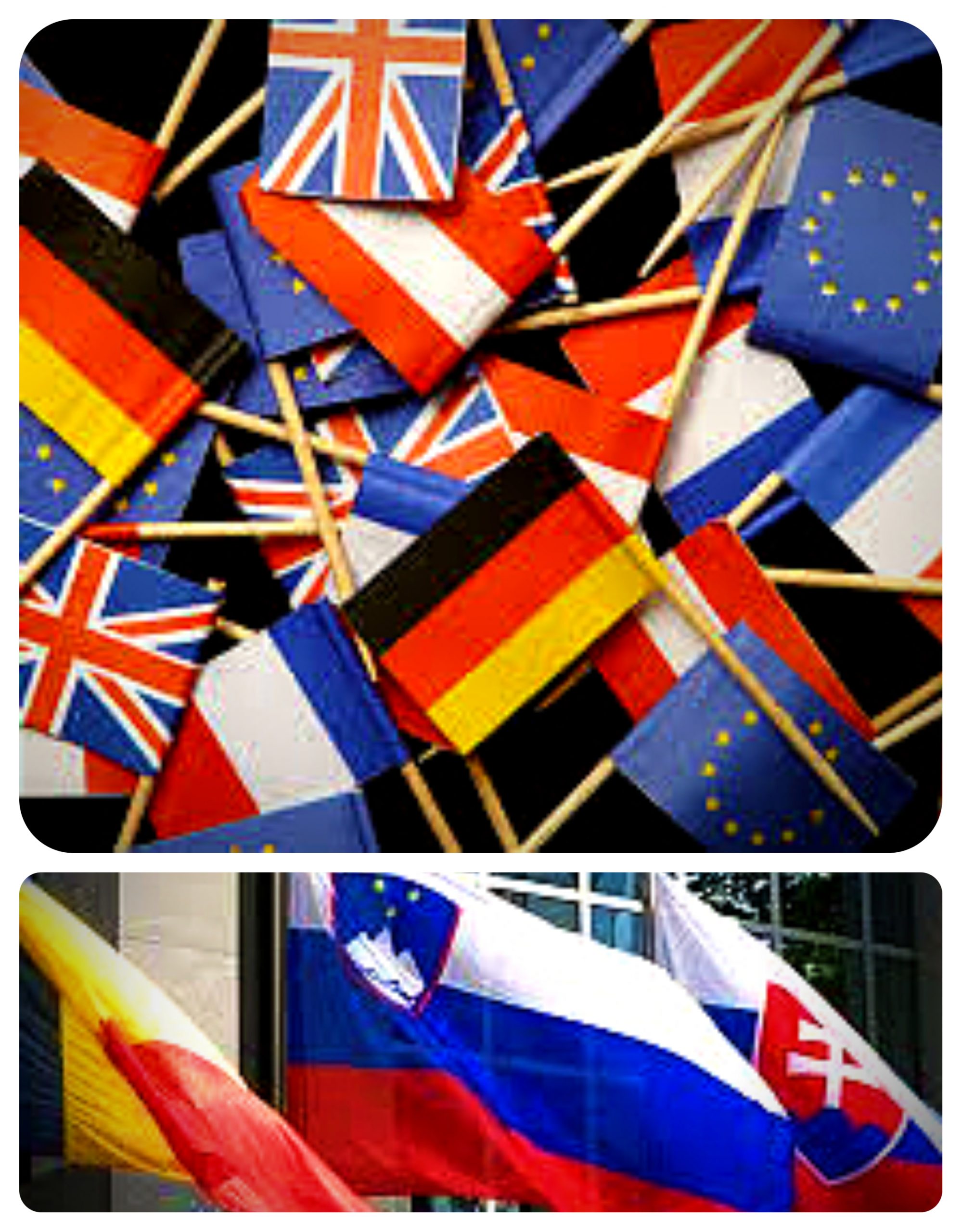 multiple languages, European flags, multilingualism, 5 and counting