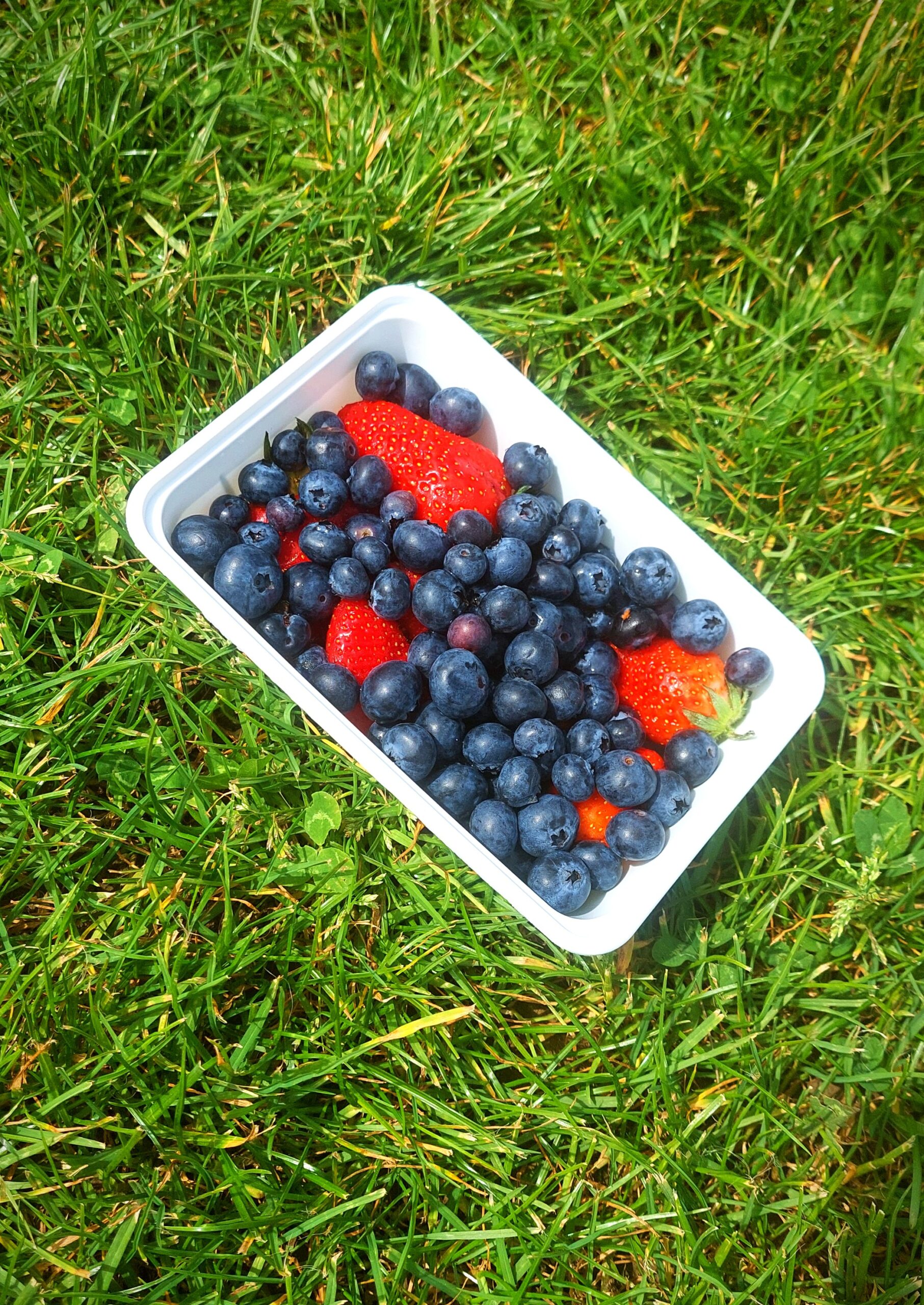 berries, healthy snack, on the go, colourful, Beeren, gesond Snack, ënnerwee, faarweg, baies, collation saine, à emporter, coloré, frutti di bosco, spuntino sano, in movimento, colorato, jagodičevje, zdrav prigrizek, za na pot, pisano,