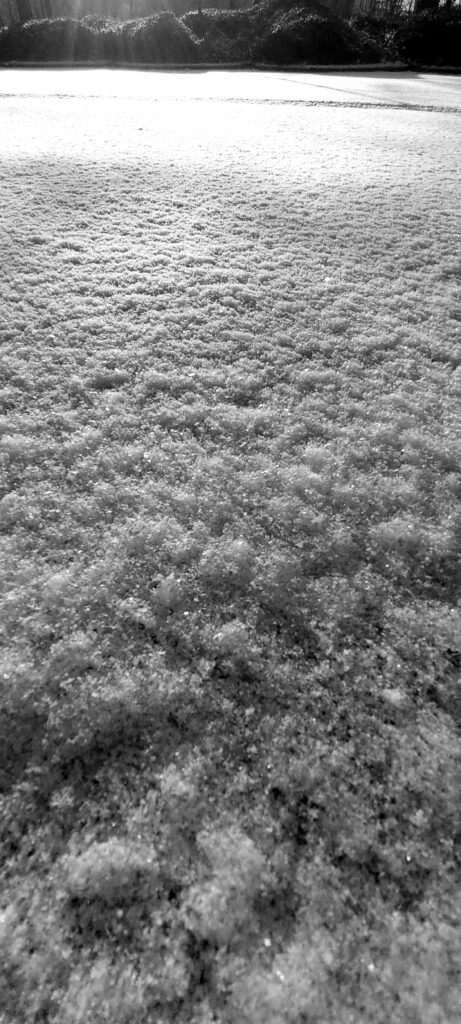 1sneg 461x1024 - 5th - 11th January, 2026